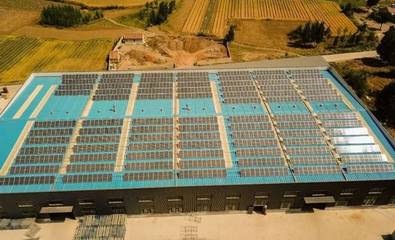 老板在工廠屋頂裝光伏，節(jié)省590萬支出！揭秘太陽能發(fā)電技術(shù)服務(wù)的價(jià)值